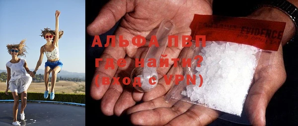 спайс Баксан
