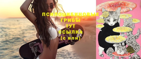 спайс Баксан