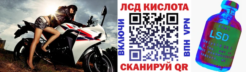 Купить где  Горняк  Марки N-bome 1500мкг 