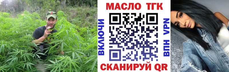Купить где  Горняк  ТГК концентрат 