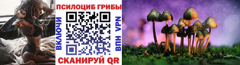 Купить закладки  Горняк  Псилоцибиновые грибы мухоморы 