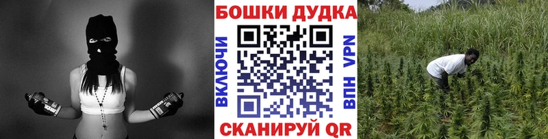 Бошки марихуана AK-47  Купить закладки  Горняк 